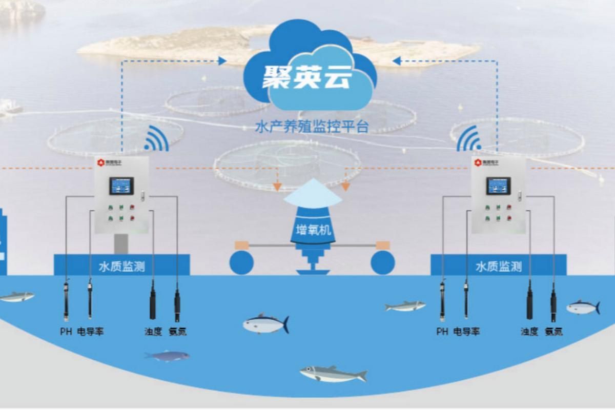 祥龍魚場與CIPS 2025的未來合作方向，祥龍魚場與cips2025合作方向