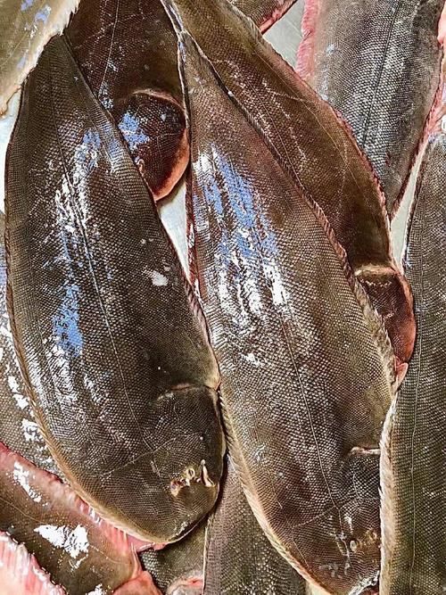 陵水龍魚和龍利魚有什么區別？，“陵水龍魚”和“龍利魚”有什么區別？