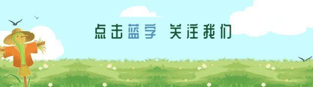 如何正確選擇魚藥？