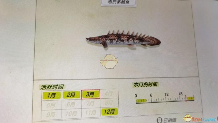 虎斑恐龍魚放生后如何存活？，“虎斑恐龍魚放生后如何存活，虎斑恐龍魚放生后如何存活