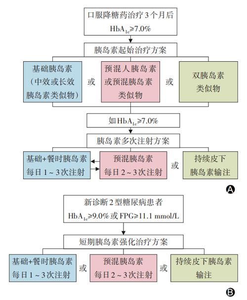 請提供更詳細的藥物治療方案，2型糖尿病患者的藥物治療任務