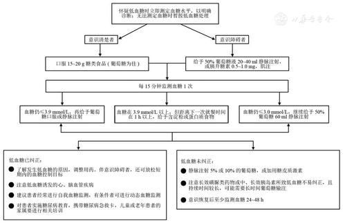 請提供更詳細的藥物治療方案，2型糖尿病患者的藥物治療任務