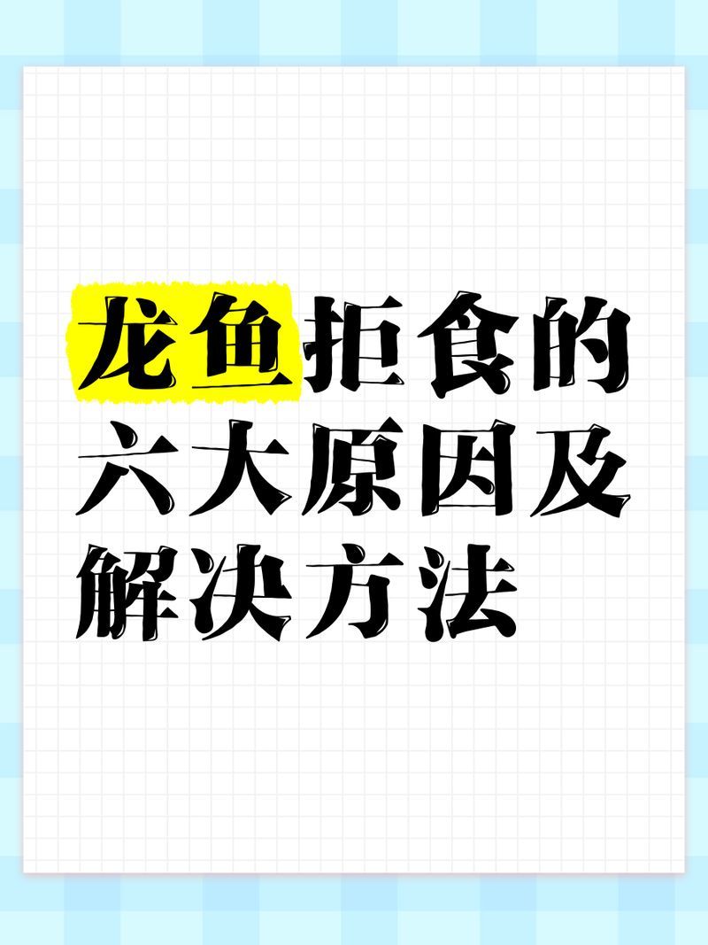 夏天龍魚不吃食有哪些原因，夏天龍魚不吃食的七大原因及應(yīng)對策略