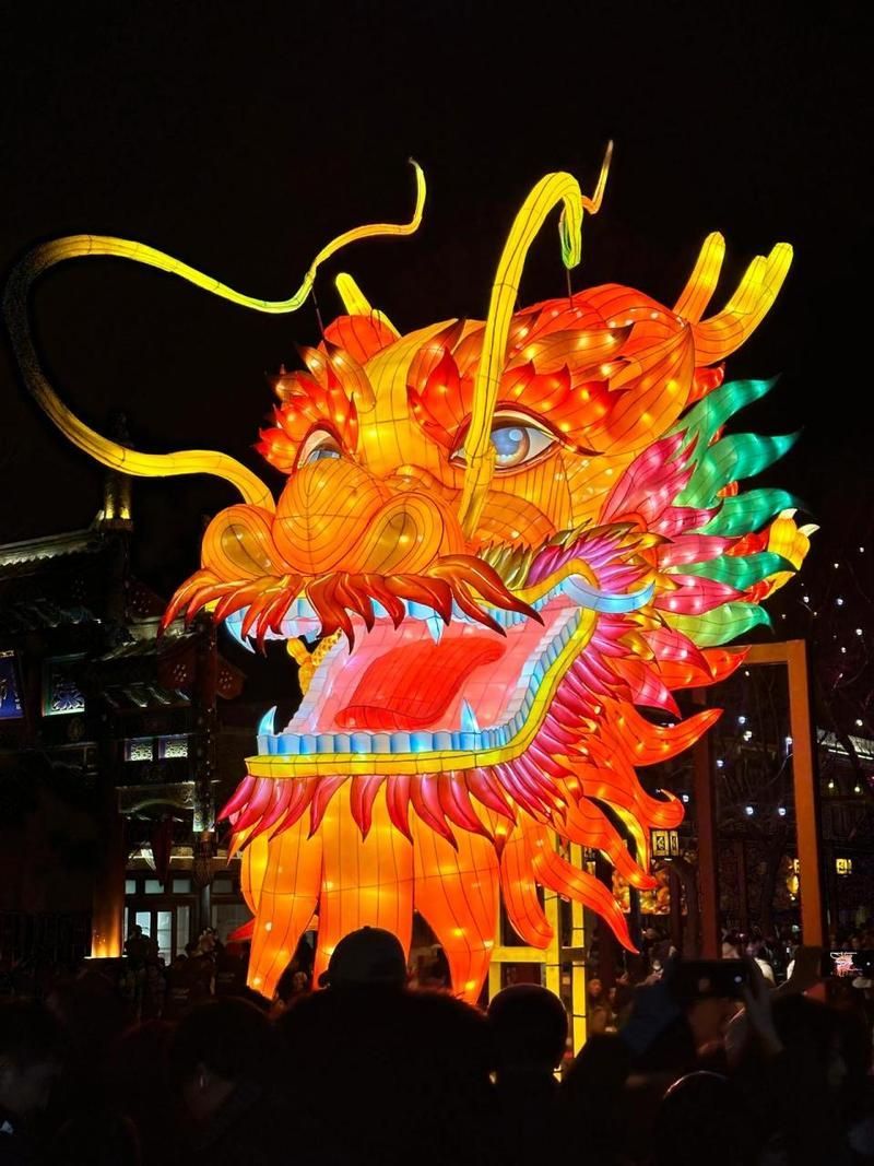 2024年北京龍魚燈照有哪些特色？