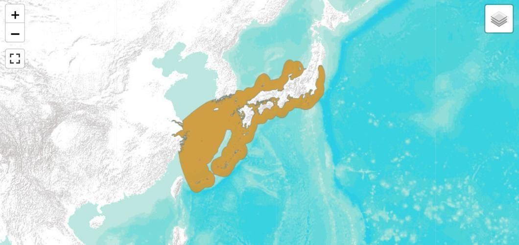 海龍魚有哪些品種？，海龍魚海龍魚品種圖鑒海龍魚品種圖鑒海龍魚品種圖鑒