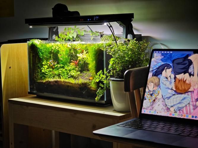 哪個(gè)品牌的魚(yú)缸口碑最好？，高口碑魚(yú)缸品牌選購(gòu)對(duì)比表