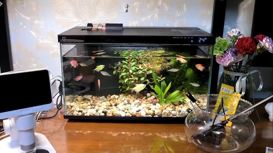 哪個(gè)品牌的魚(yú)缸口碑最好？，高口碑魚(yú)缸品牌選購(gòu)對(duì)比表