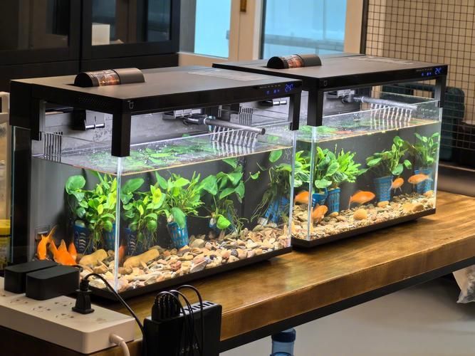 哪個(gè)品牌的魚缸口碑最好？，高口碑魚缸品牌選購對(duì)比表