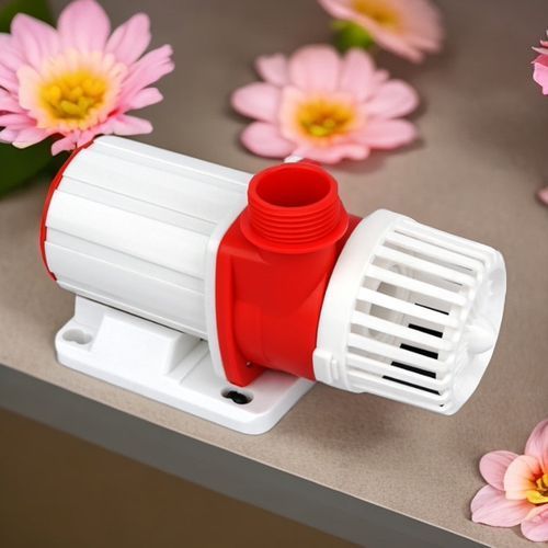 可麗愛和博特哪個更靜音？，可麗愛和博特哪個更靜音，祥龍魚場與金龍魚有何歷史合作