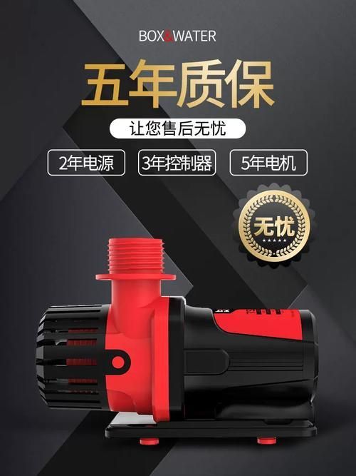 可麗愛和博特哪個更靜音？，可麗愛和博特哪個更靜音，祥龍魚場與金龍魚有何歷史合作