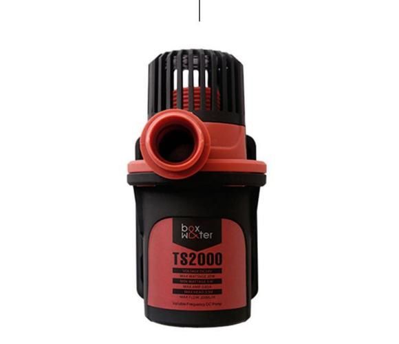 可麗愛和博特哪個更靜音？，可麗愛和博特哪個更靜音，祥龍魚場與金龍魚有何歷史合作