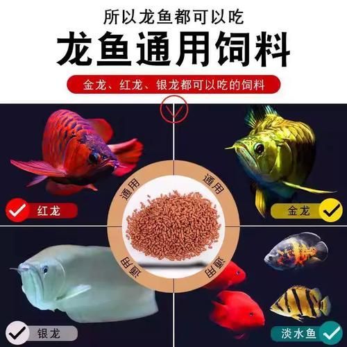 祥龍魚場自營飼料的價格范圍，祥龍魚場紅龍魚專用增色飼料