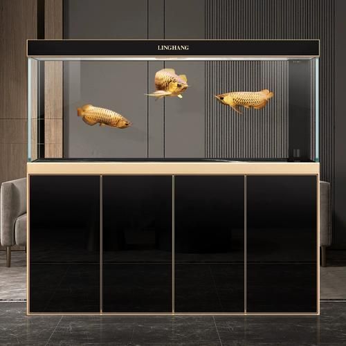 有哪些品牌魚缸適合養(yǎng)紅龍魚？，適合養(yǎng)紅龍魚的優(yōu)質(zhì)魚缸品牌