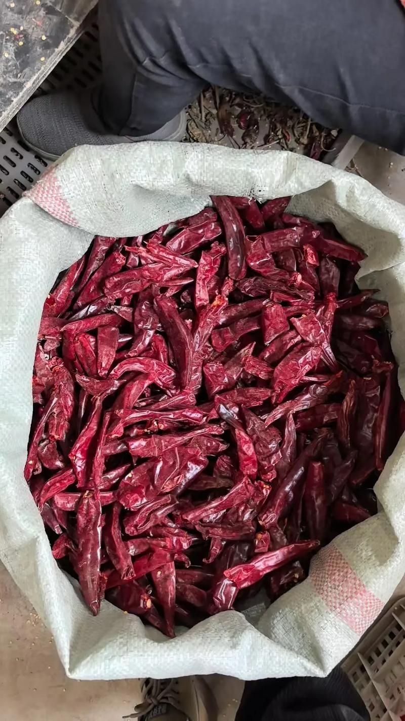 如何鑒別真假辣椒紅龍？，如何鑒別真假辣椒紅龍