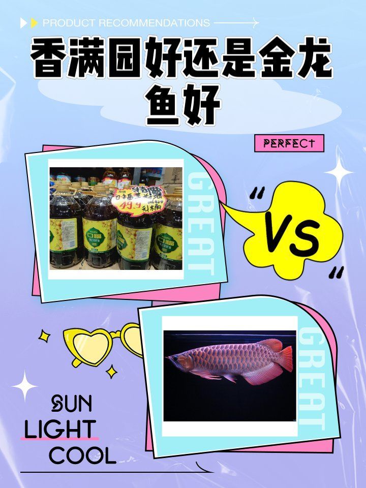 香滿園和金龍魚哪個品牌更好？，香滿園和金龍魚哪個品牌更好,香滿園和金龍魚哪個更好