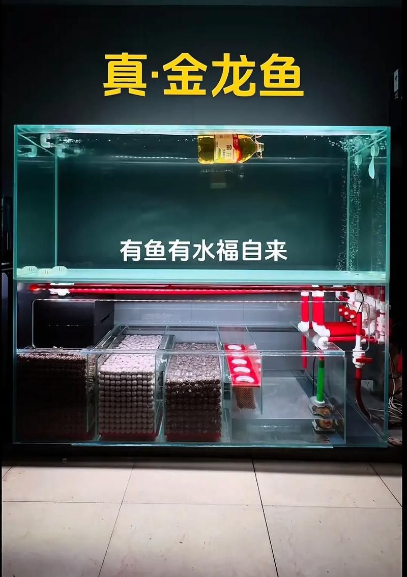 金龍魚真假對照圖高清版，如何辨別真假金龍魚花生油？