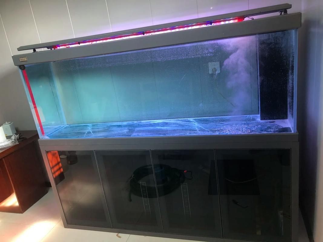 有哪些品牌龍魚魚缸推薦？，水族箱中的龍魚魚缸品牌及其特點，適合不同需求和預算的養魚愛好者