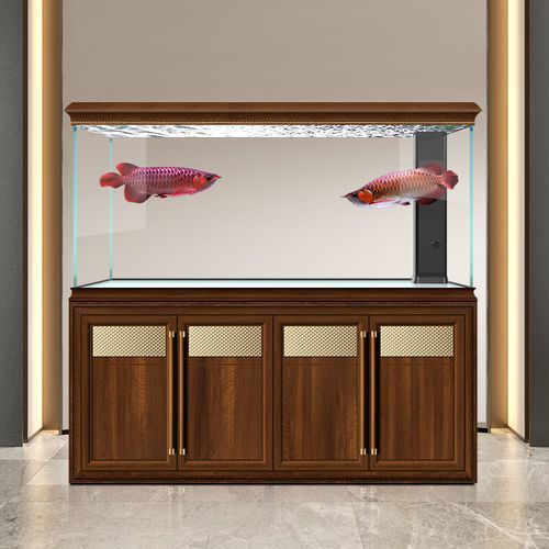 有哪些品牌龍魚魚缸推薦？，水族箱中的龍魚魚缸品牌及其特點，適合不同需求和預算的養魚愛好者