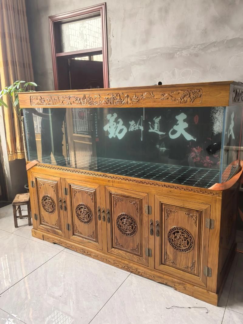 有哪些品牌龍魚魚缸推薦？，水族箱中的龍魚魚缸品牌及其特點，適合不同需求和預算的養魚愛好者