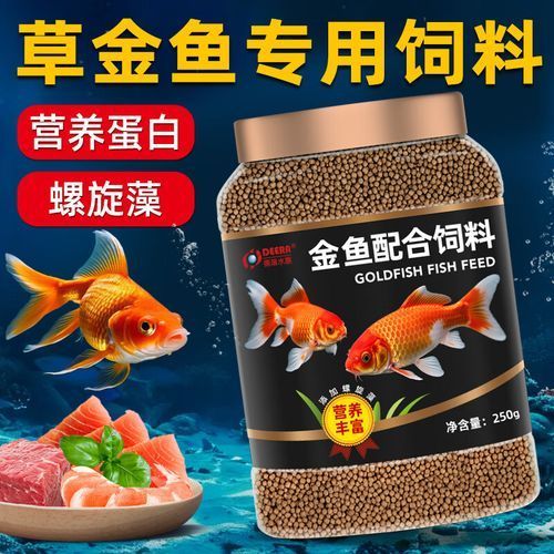 有哪些品牌飼料魚值得推薦？