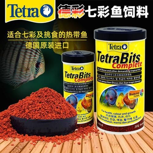有哪些品牌飼料魚值得推薦？