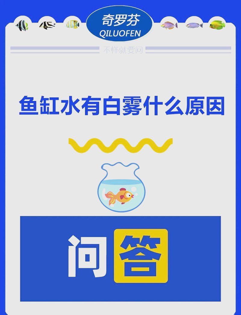 有哪些方法可以預防龍魚起白霧，有哪些方法可以預防龍魚起白霧,龍魚眼睛出現白霧