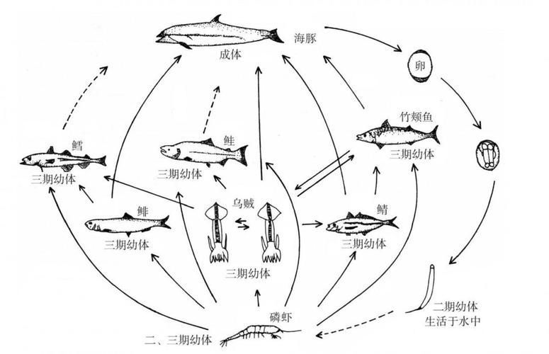 如何預防魚類寄生蟲感染，如何預防魚類寄生蟲感染：科學指南與實操策略