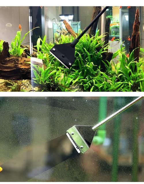 魚缸手動清理步驟，魚缸手動清理全流程詳解