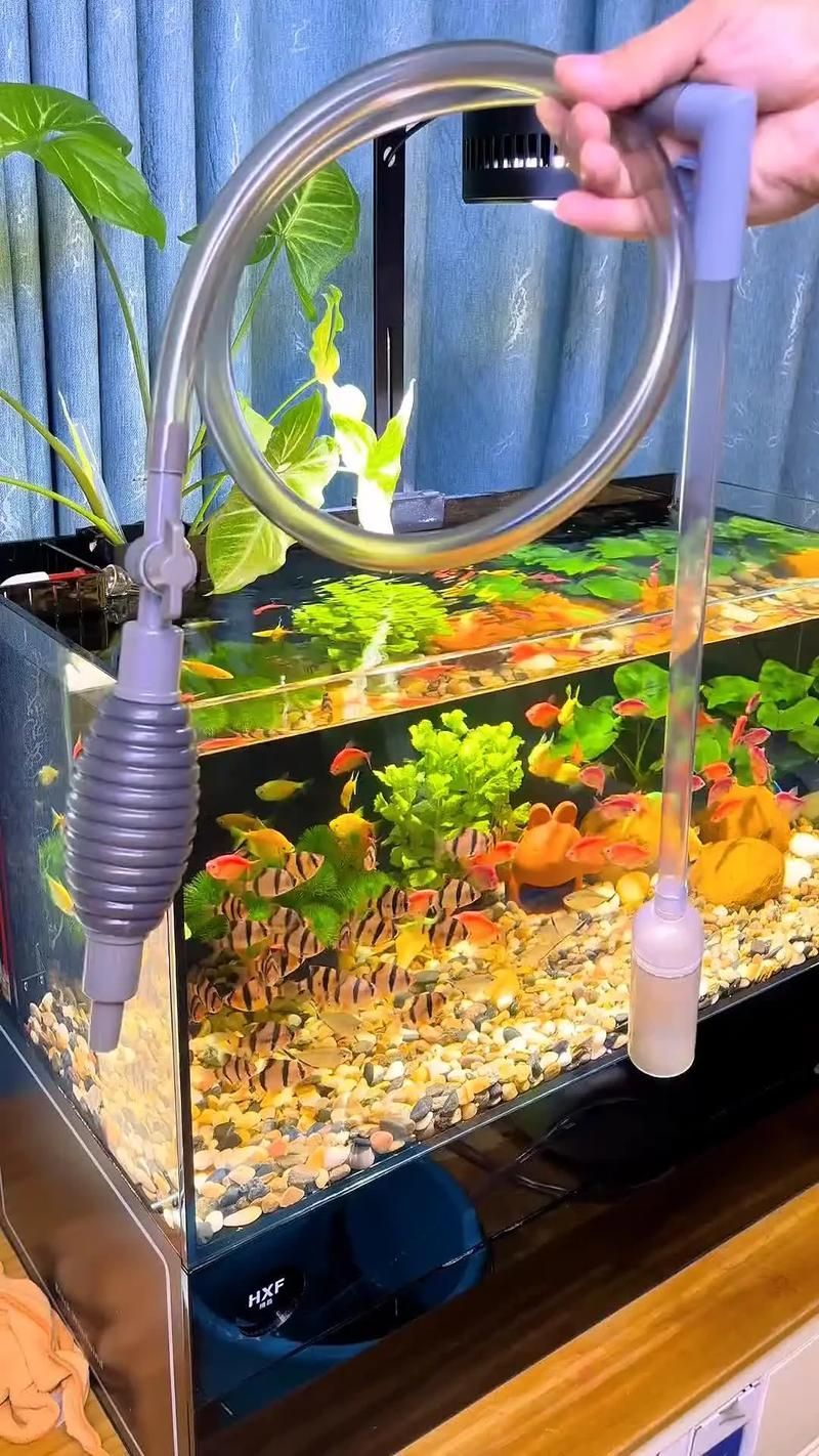 魚缸手動清理步驟，魚缸手動清理全流程詳解