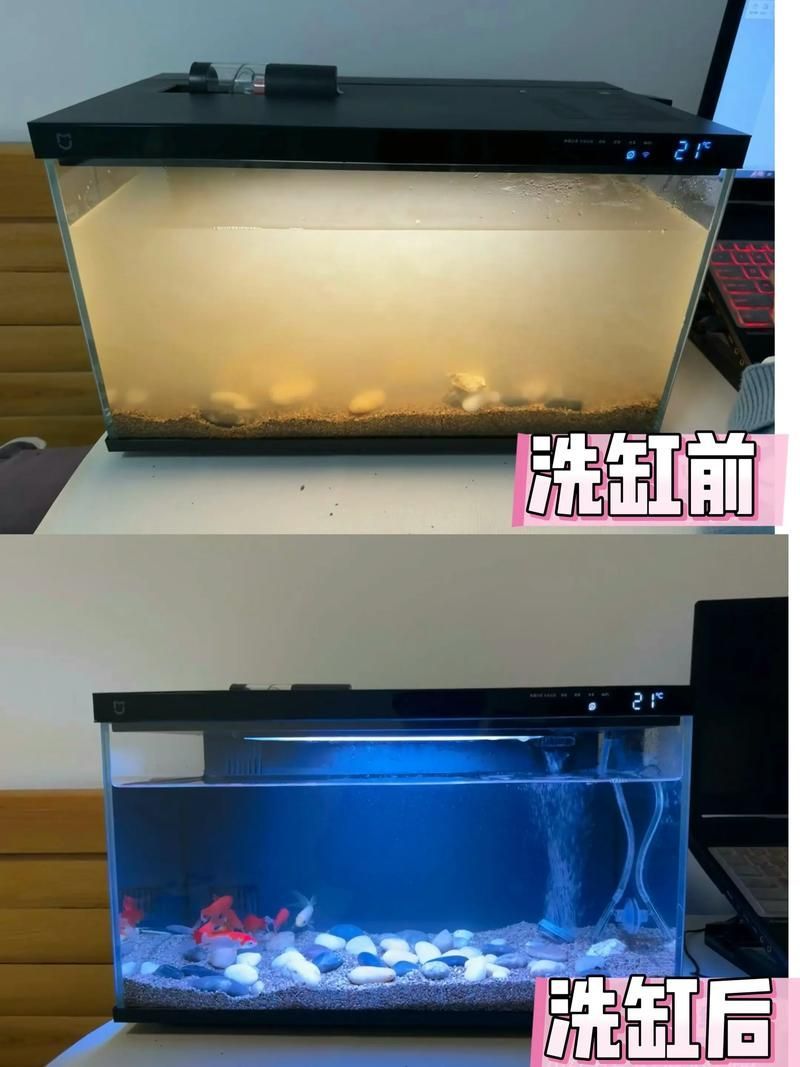 魚缸手動清理步驟，魚缸手動清理全流程詳解