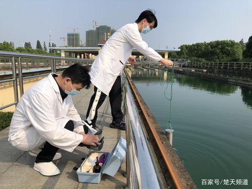如何預防錦鯉爛尾病復發，如何預防錦鯉爛尾病
