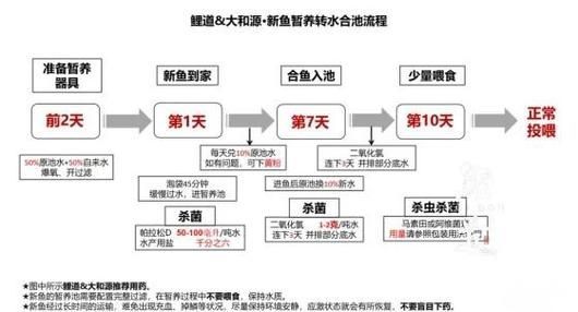 如何預防錦鯉爛尾病復發，如何預防錦鯉爛尾病