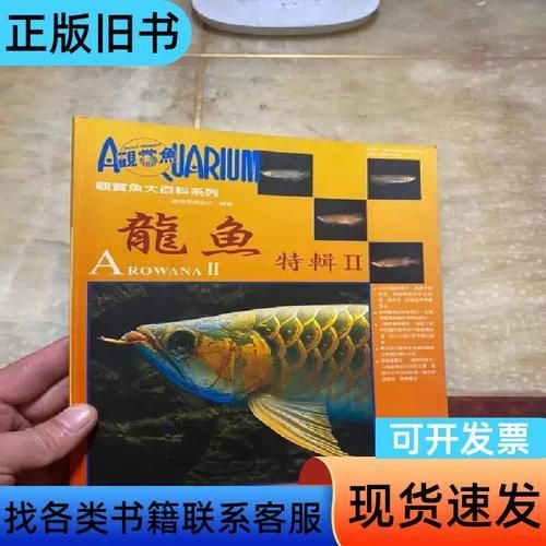 龍華龍魚市場有哪些品種，龍華龍魚市場在哪里