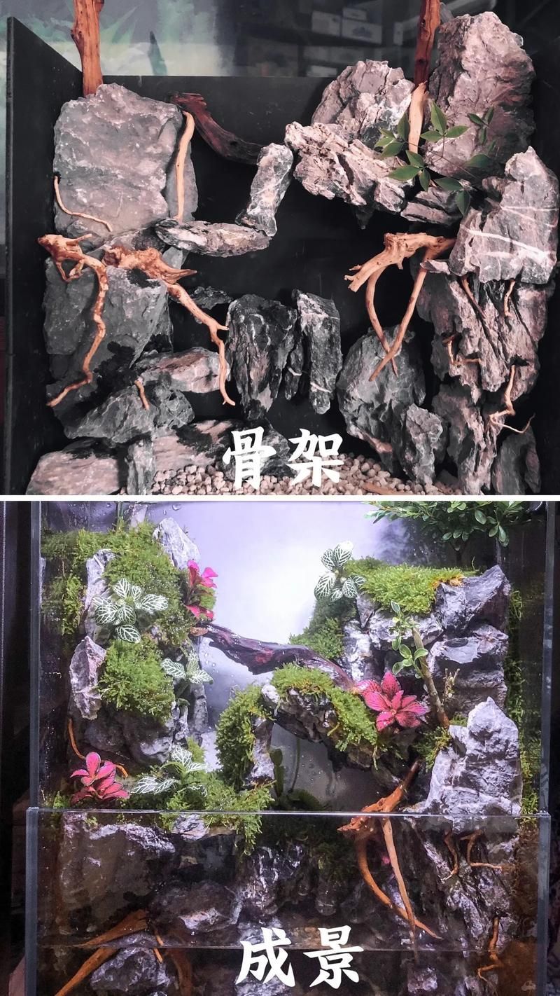 如何選擇適合的橫放缸和豎放缸，如何選擇一個適合的水族缸