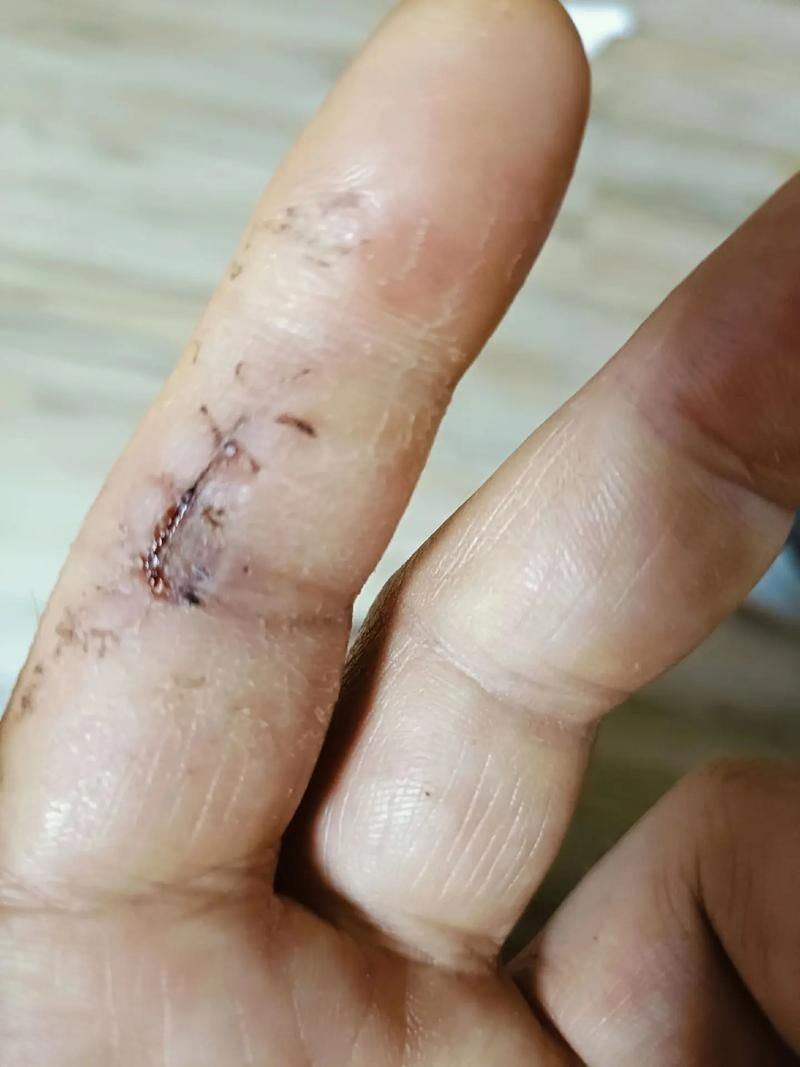 能否提供龍魚傷口愈合的詳細(xì)圖片，龍魚傷口愈合的詳細(xì)圖片描述：龍魚傷口愈合過程的詳細(xì)圖片描述