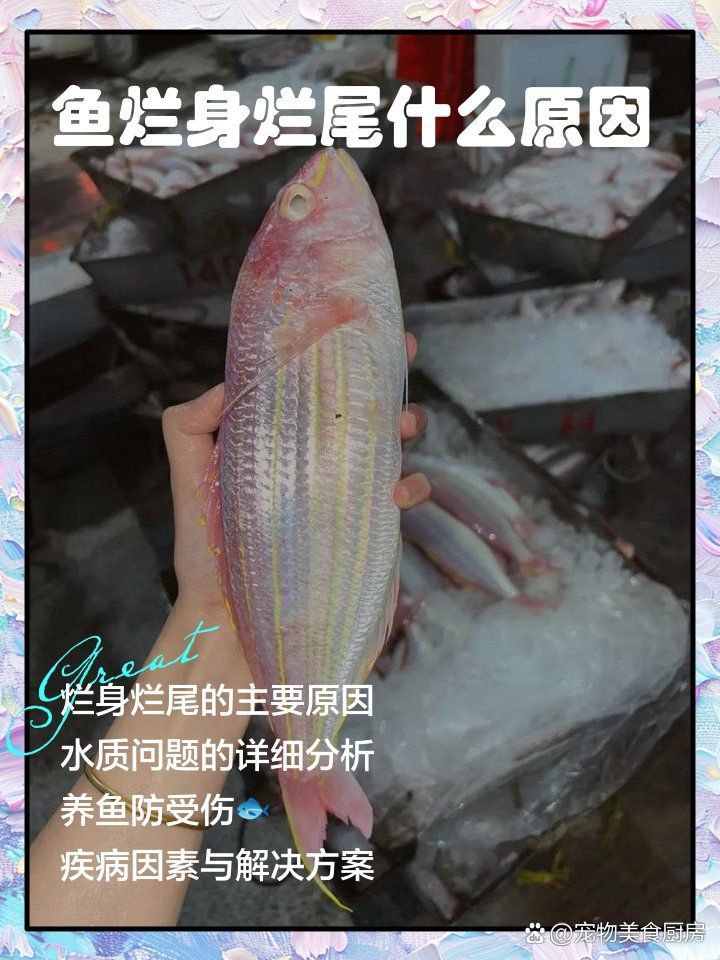 有哪些中藥可以治療魚爛身，中藥治療魚爛身的方法