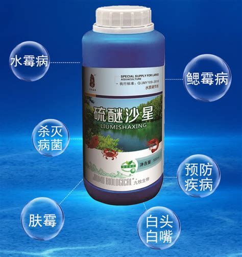 龍魚黑霉病圖片，龍魚黑霉病怎么辦