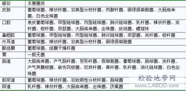 如何區分真菌和細菌的耐藥性，如何區分真菌與細菌的耐藥性