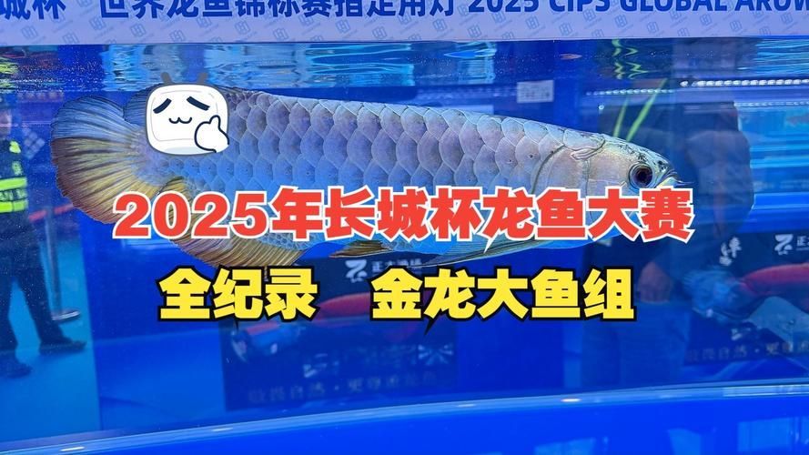 2025長城杯龍魚大賽有哪些參賽選手？，2025長城杯龍魚大賽參賽選手名單