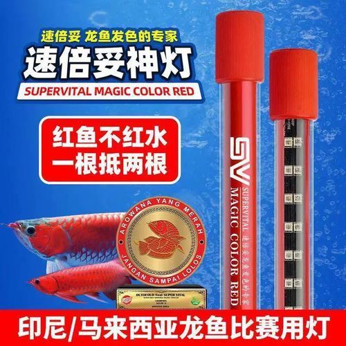 給我推薦幾款2700K的龍魚燈，2700k龍魚燈推薦