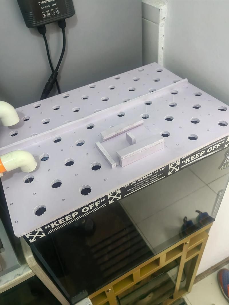 如何訓(xùn)練貓不捕魚，訓(xùn)練貓不捕魚