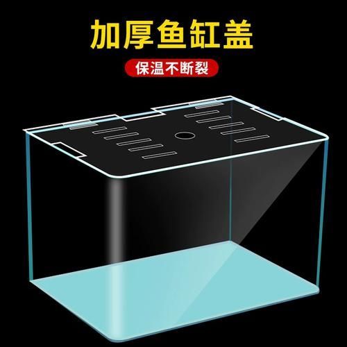 如何訓(xùn)練貓不捕魚，訓(xùn)練貓不捕魚