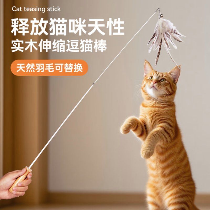 如何訓(xùn)練貓不捕魚，訓(xùn)練貓不捕魚