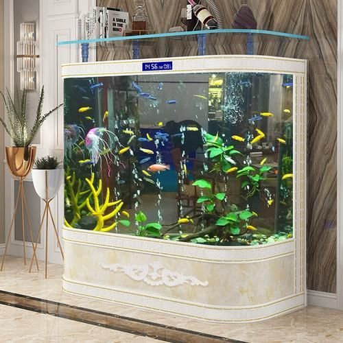 有哪些性價比高的龍魚缸品牌推薦？，高性價比的龍魚缸品牌推薦