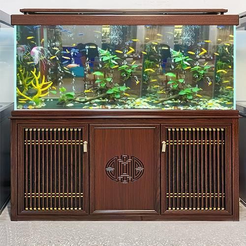 有哪些性價比高的龍魚缸品牌推薦？，高性價比的龍魚缸品牌推薦