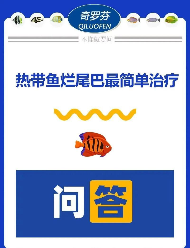 爛尾病有哪些治療方法，孔雀魚爛尾病自救指南孔雀魚爛尾治療方法寵物健康守護者