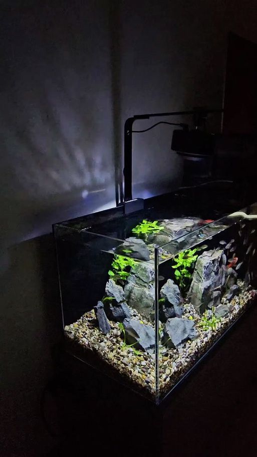 可麗愛魚缸哪個(gè)型號(hào)最受歡迎？，可麗愛魚缸哪個(gè)型號(hào)最受歡迎