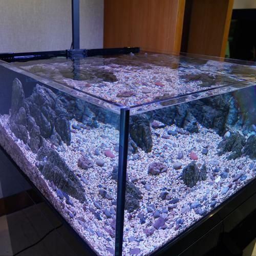 可麗愛魚缸哪個(gè)型號(hào)最受歡迎？，可麗愛魚缸哪個(gè)型號(hào)最受歡迎