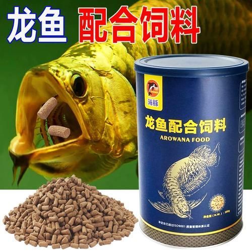 推薦一些性價比高的紅龍魚飼料，紅龍魚的飼養方式