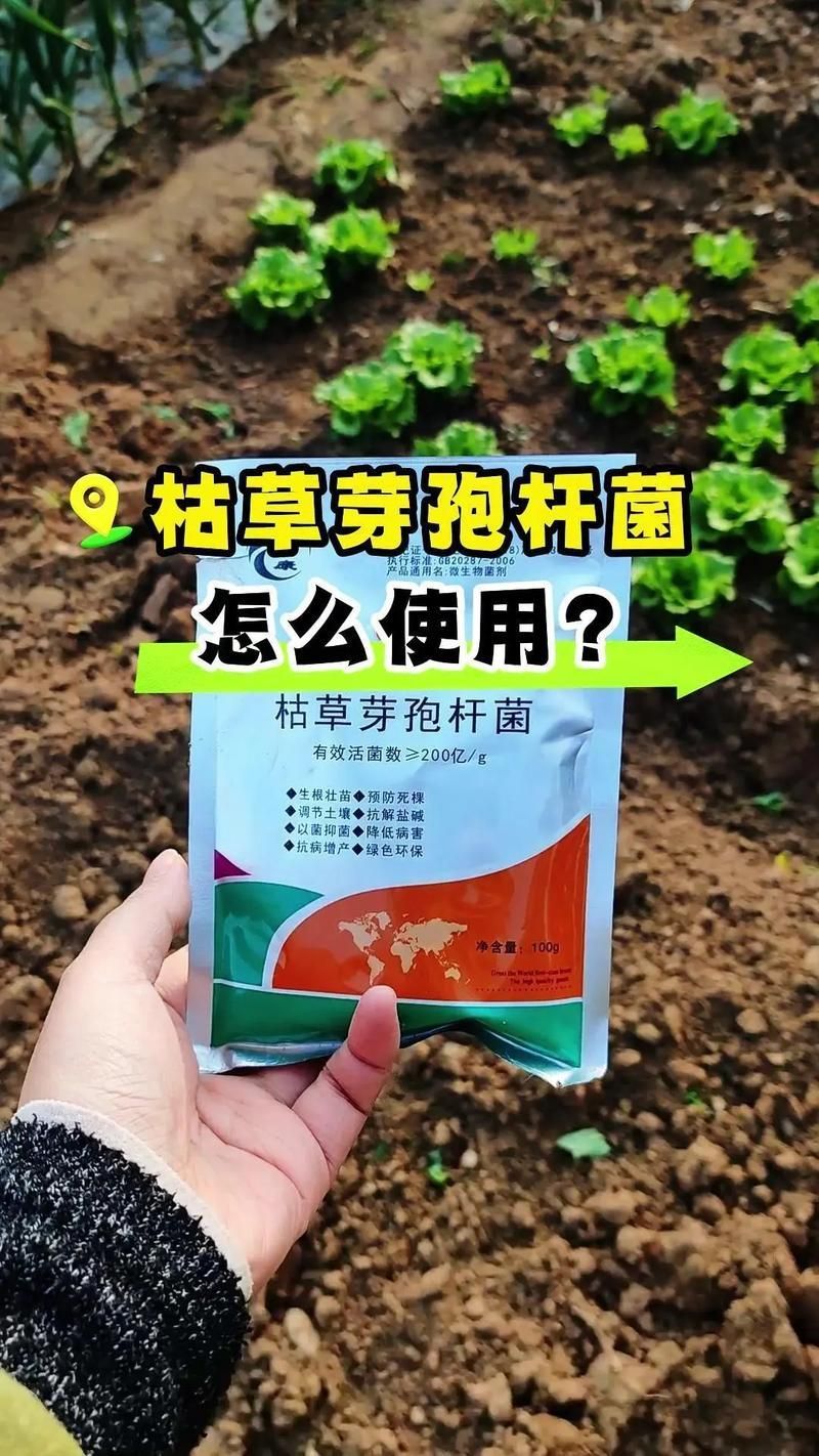 有哪些生物藥劑可以防治龍眼爛尾病，防治龍眼爛尾病的方法